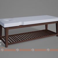 giường massage đa năng - gms10009 (1)