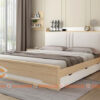 giường ngủ gỗ công nghiệp thông minh (1)