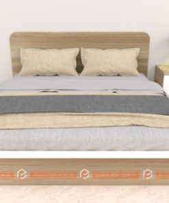 giuong ngu hien dai co hoc - gn10014 (1)